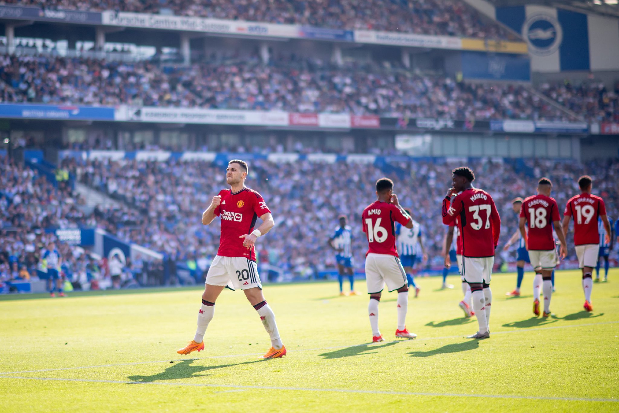 以下将为您 以下将为您